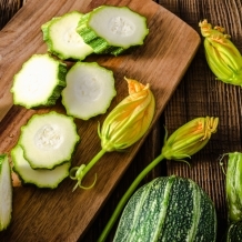 Altweibersommer – Zeit der Zucchini